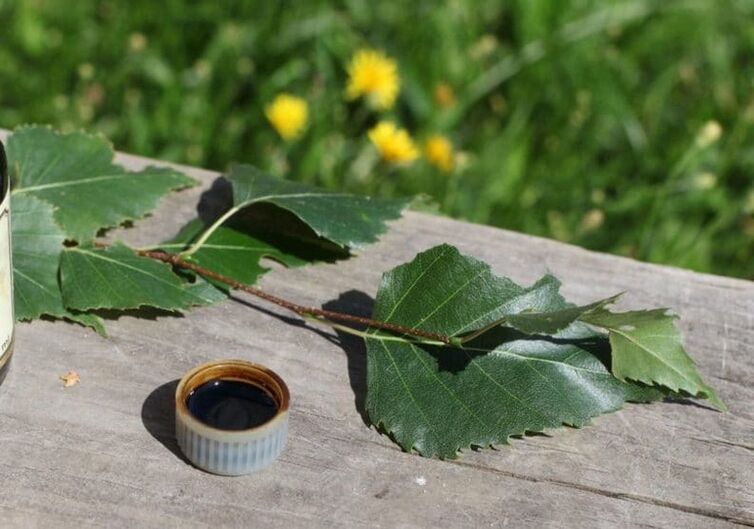 birch resin from fungus
